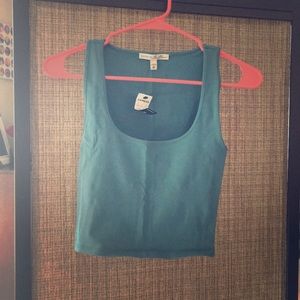 Teal Express Crop Top